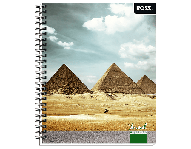 Cuaderno Universitario Croquis 100 Hjs Animal Places