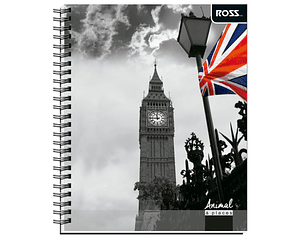 Cuaderno Universitario Croquis 100 Hjs Animal Places