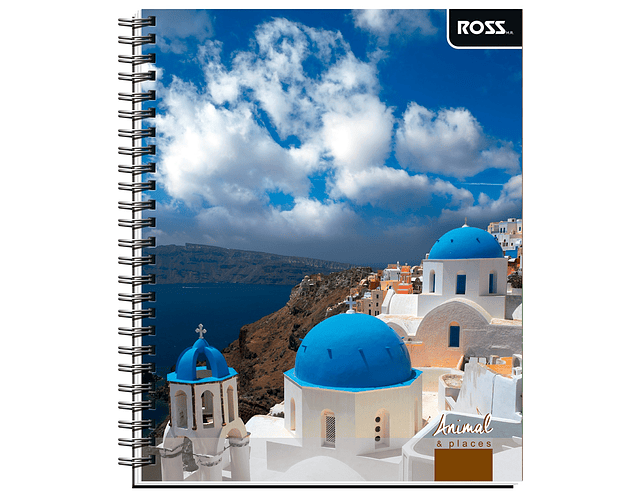 Cuaderno Universitario Croquis 100 Hjs Animal Places