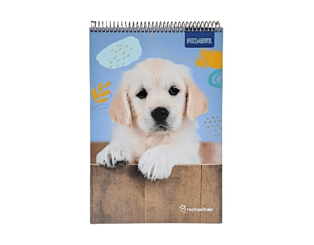 Croquera Animales Adorables 80 Hjs 22x32 cms Proarte