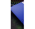 Carpeta plástica azul
