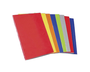 Carpeta Plastificada con Accoclip Colores