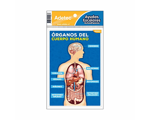 Variedad de Ayudas escolares