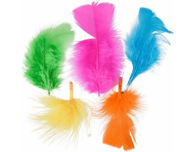 Set de plumas surtidas