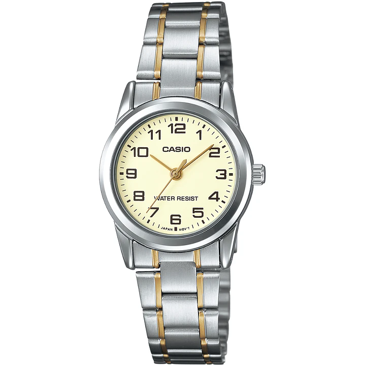 Reloj Casio Mini Vintage Bicolor LTP-V001SG-9B 1
