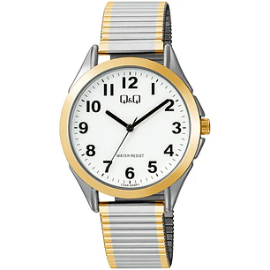 Reloj Q&Q Hombre Análogo Bicolor C04A-049PY