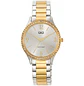 Reloj Q&Q Análogo Bicolor Dorado Brillos Q75B-006PY - Miniatura 1