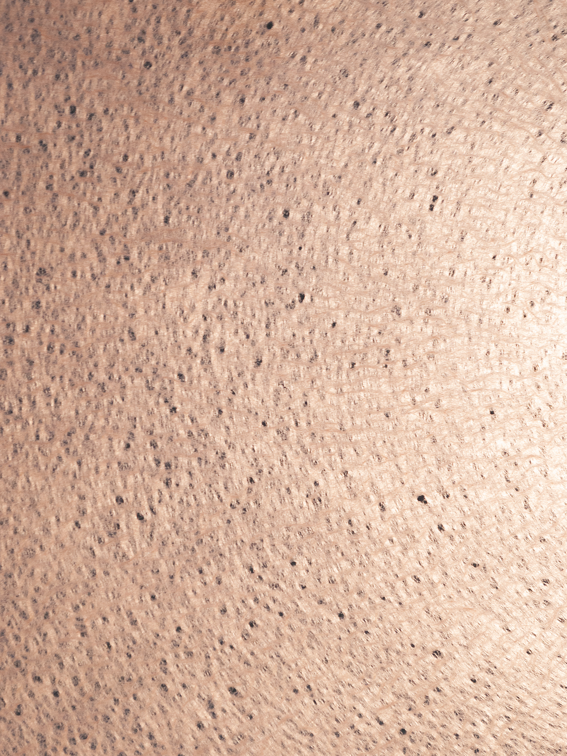 Mizutama Tissue Taupe 4