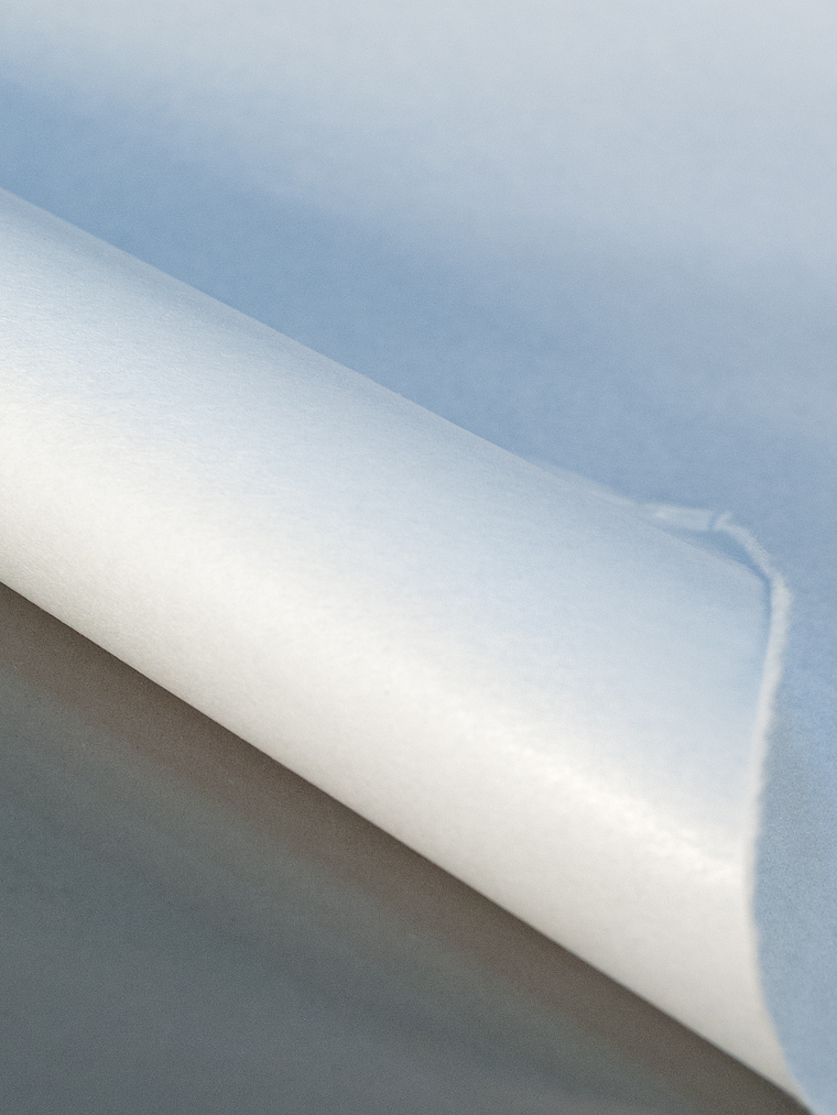 Rollo Papel Shodo Sumi-e 2