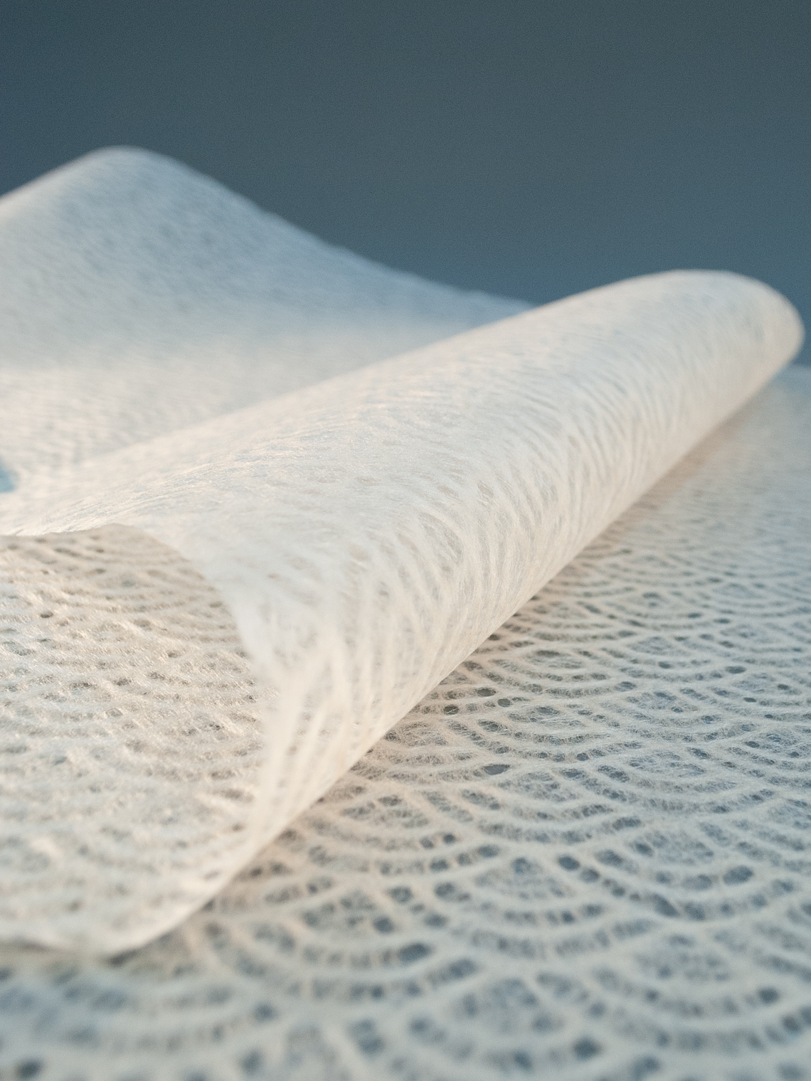 Seikahai Tissue Motoiro 1