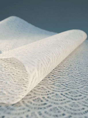 Seikahai Tissue Motoiro