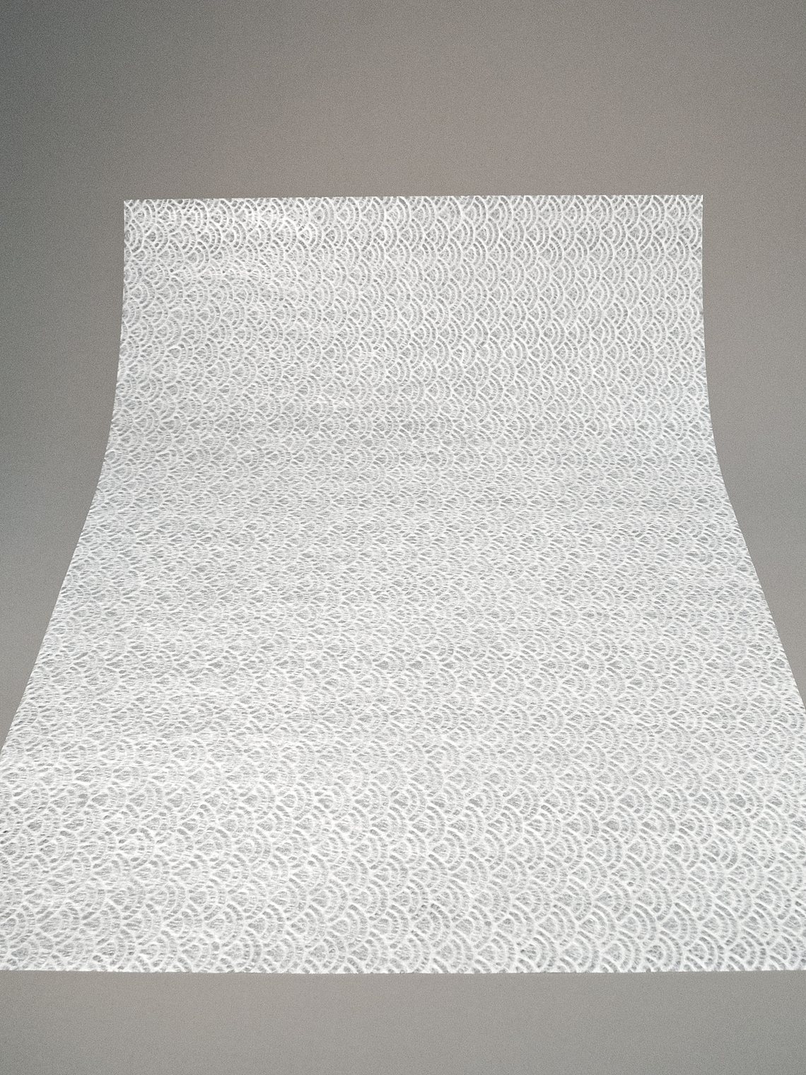 Seikahai Tissue Motoiro 3