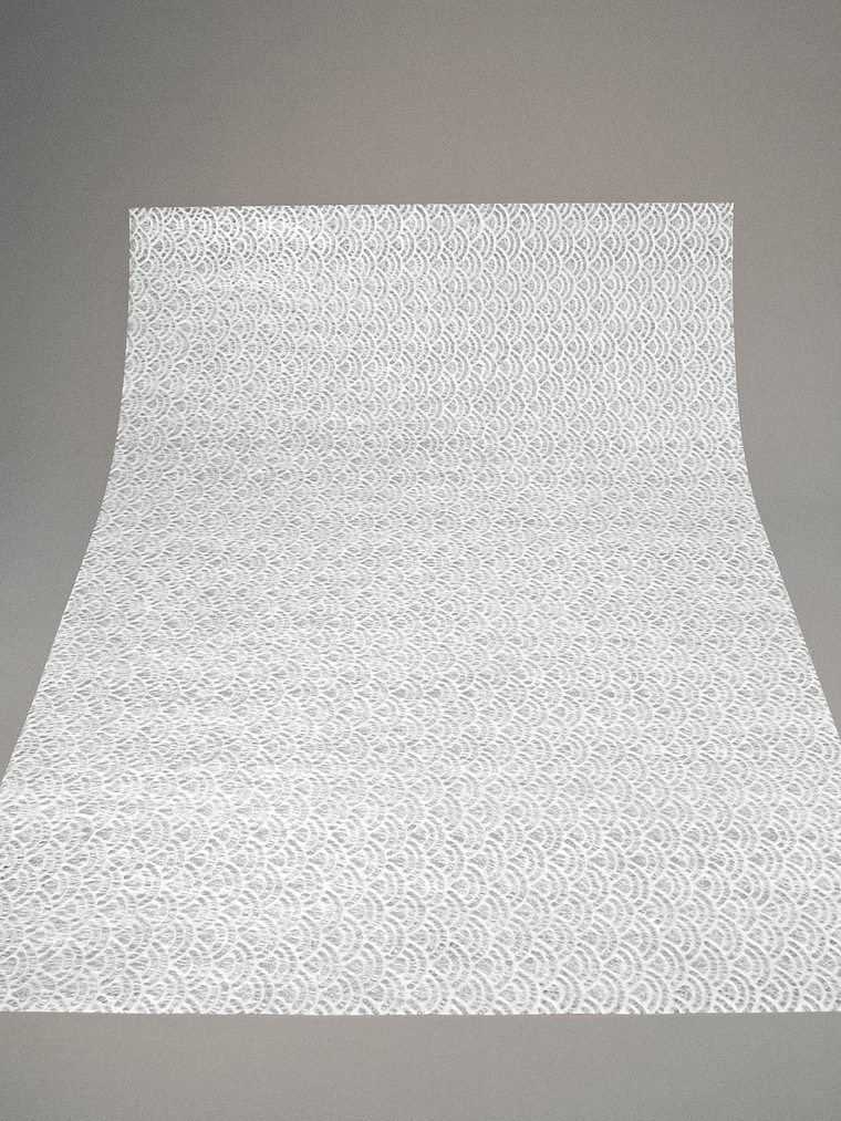 Seikahai Tissue Motoiro 3