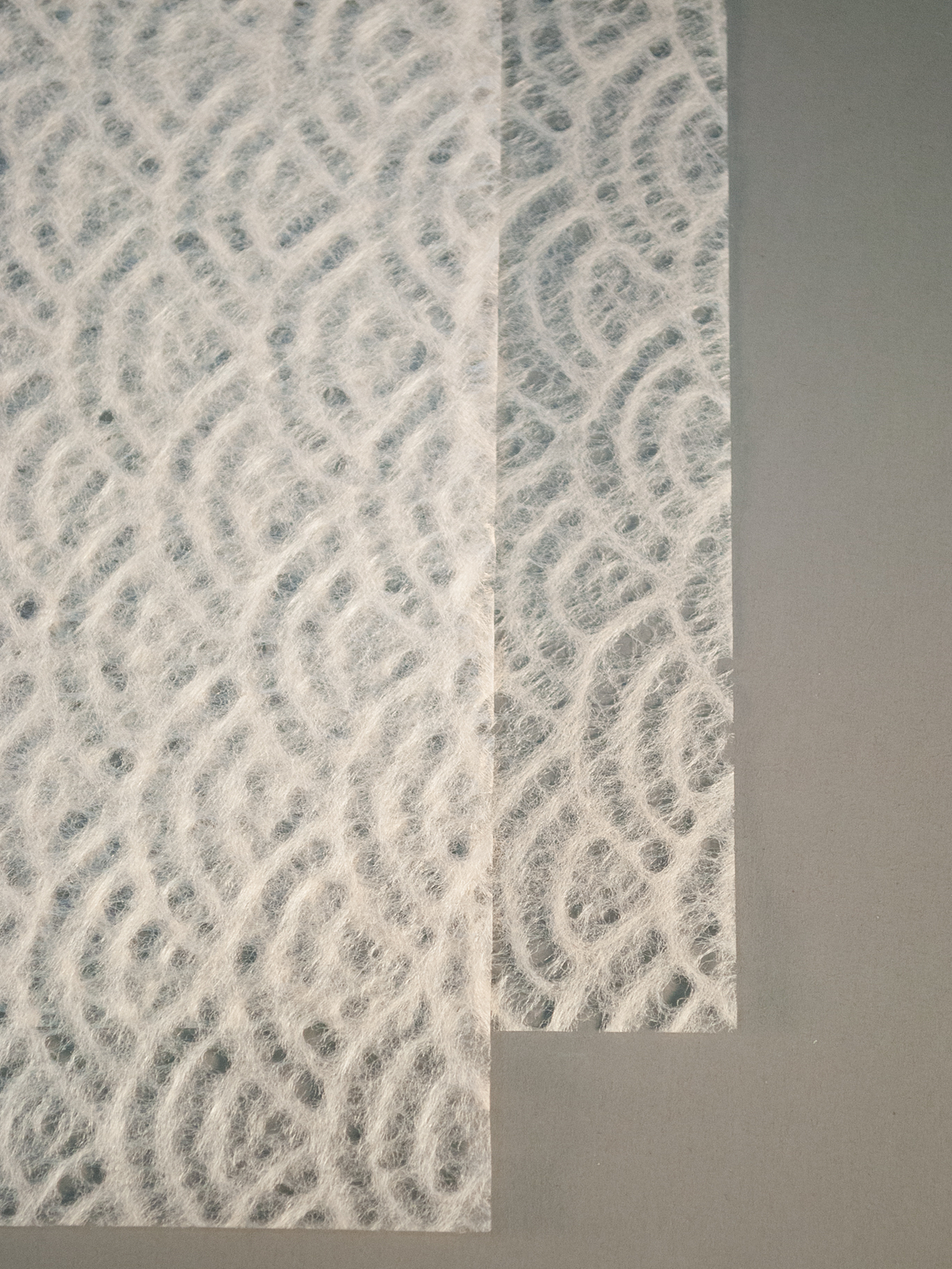 Seikahai Tissue Motoiro 4