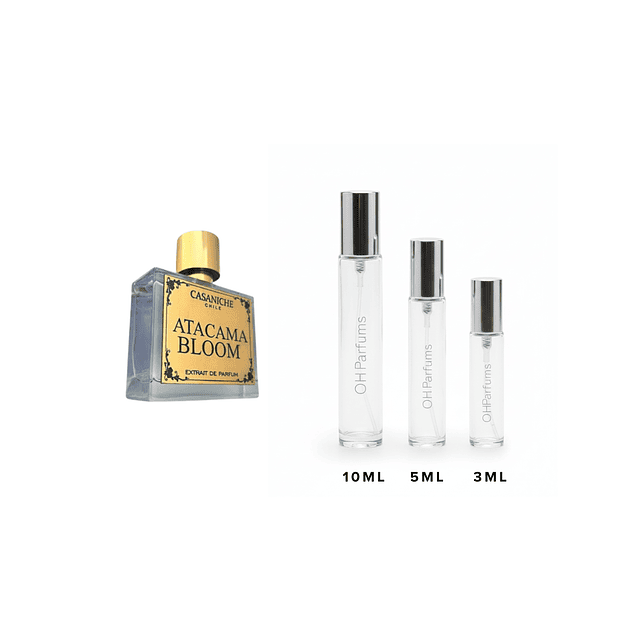 CasaNiche - Atacama Bloom Decant