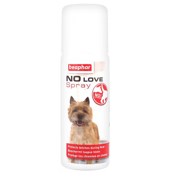 NO LOVE SPRAY 50ML