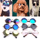 LENTES PERROS