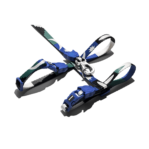 ZEECAT LEASH + HARNESS CAT SET