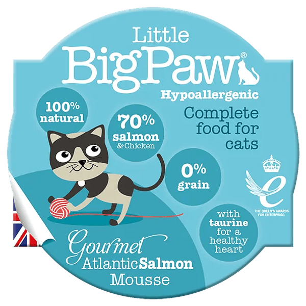 Little Big Paw Gourmet Atlantic Salmon