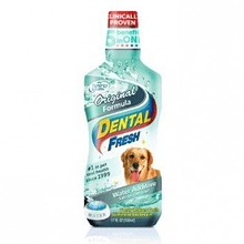 DENTAL FRESH ORIG DOG 8 OZ