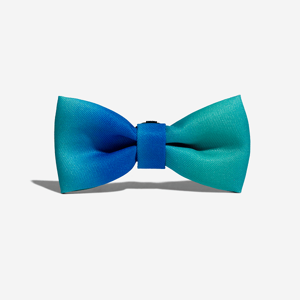 ZEEDOG BOW TIE TIDE