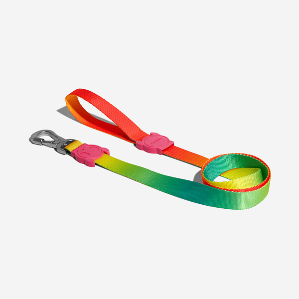 ZEEDOG LEASH SMALL CITRUS