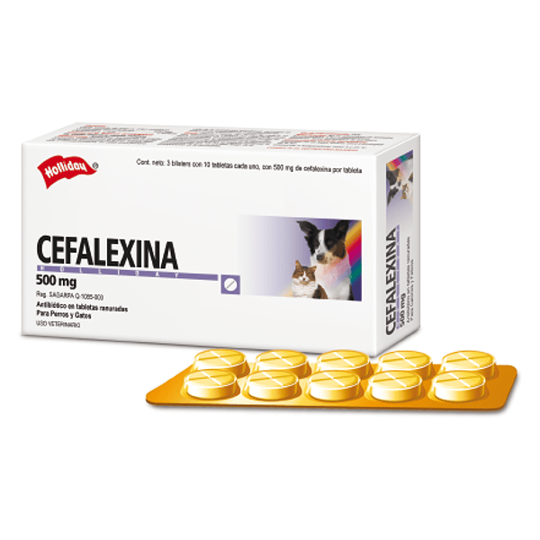 Cefalexina 500mg