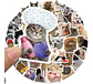 Gato Gatitos - Set De 50 Stickers / Calcomanias / Pegatinas - Miniatura 2