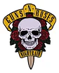 Pins De Guns N' Roses / Pines Musicales / Broches Metálicos - Miniatura 4