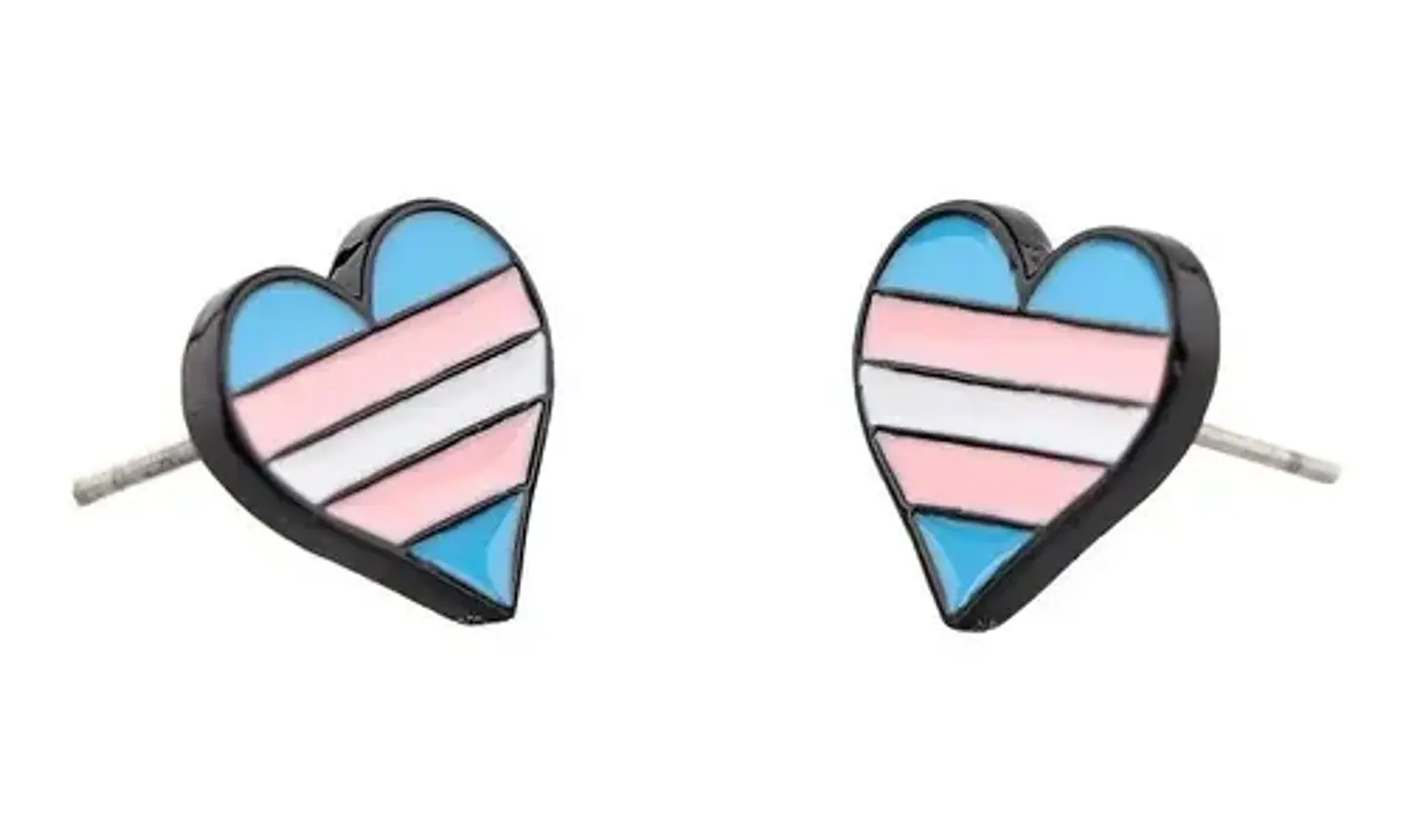Aros Aretes Pendientes De Lgbt + Trans / Acero Quirúrgico 8