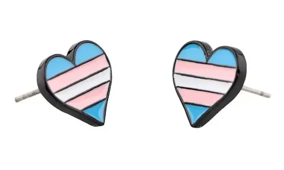 Aros Aretes Pendientes De Lgbt + Trans / Acero Quirúrgico 8