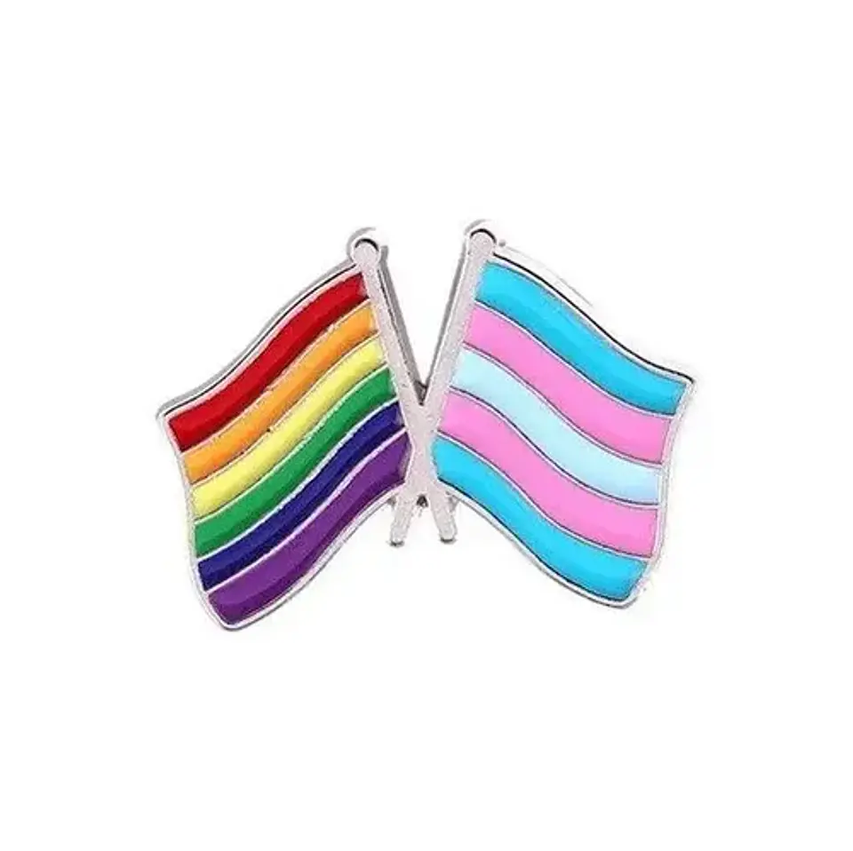 Pins De Comunidad / Pride Lgbt / Broches Metálicos (pines) 27