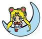 Pins Sailor Moon / Sailor Moon / Broches Metálicos (pines) - Miniatura 11