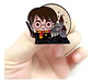 Pins Harry Potter / Harry Potter Broches Metálicos (pines)  - Miniatura 7