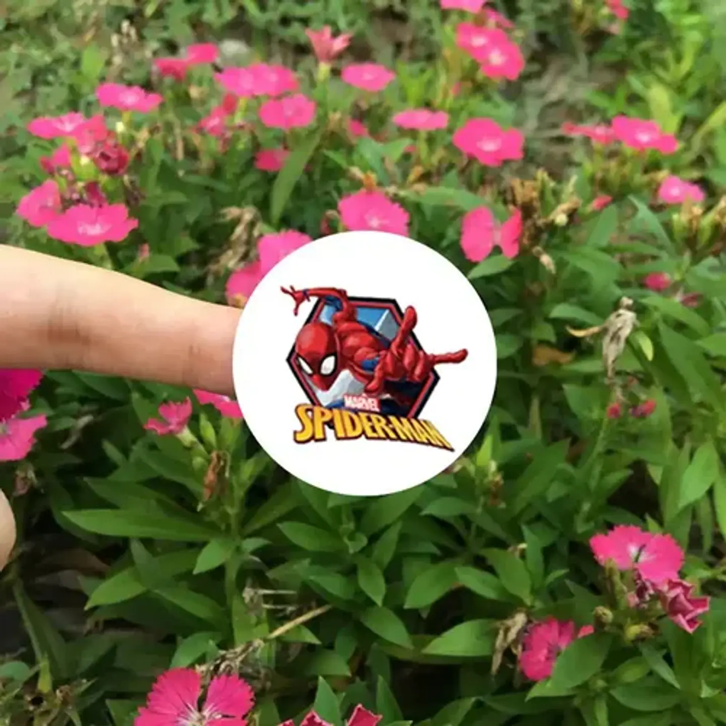 Spider-man - Set De 500 Stickers / Rollo De Pegatinas 13