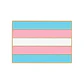 Pins De Pride Lgbt / Orgullo Gay / Broches Metálicos (pines) - Miniatura 2