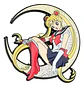 Pins De Serena Tsukino / Sailor Moon / Pines Metálicos - Miniatura 9