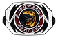 Pins De Power Rangers / Power Rangers / Pines Metalicos - Miniatura 5