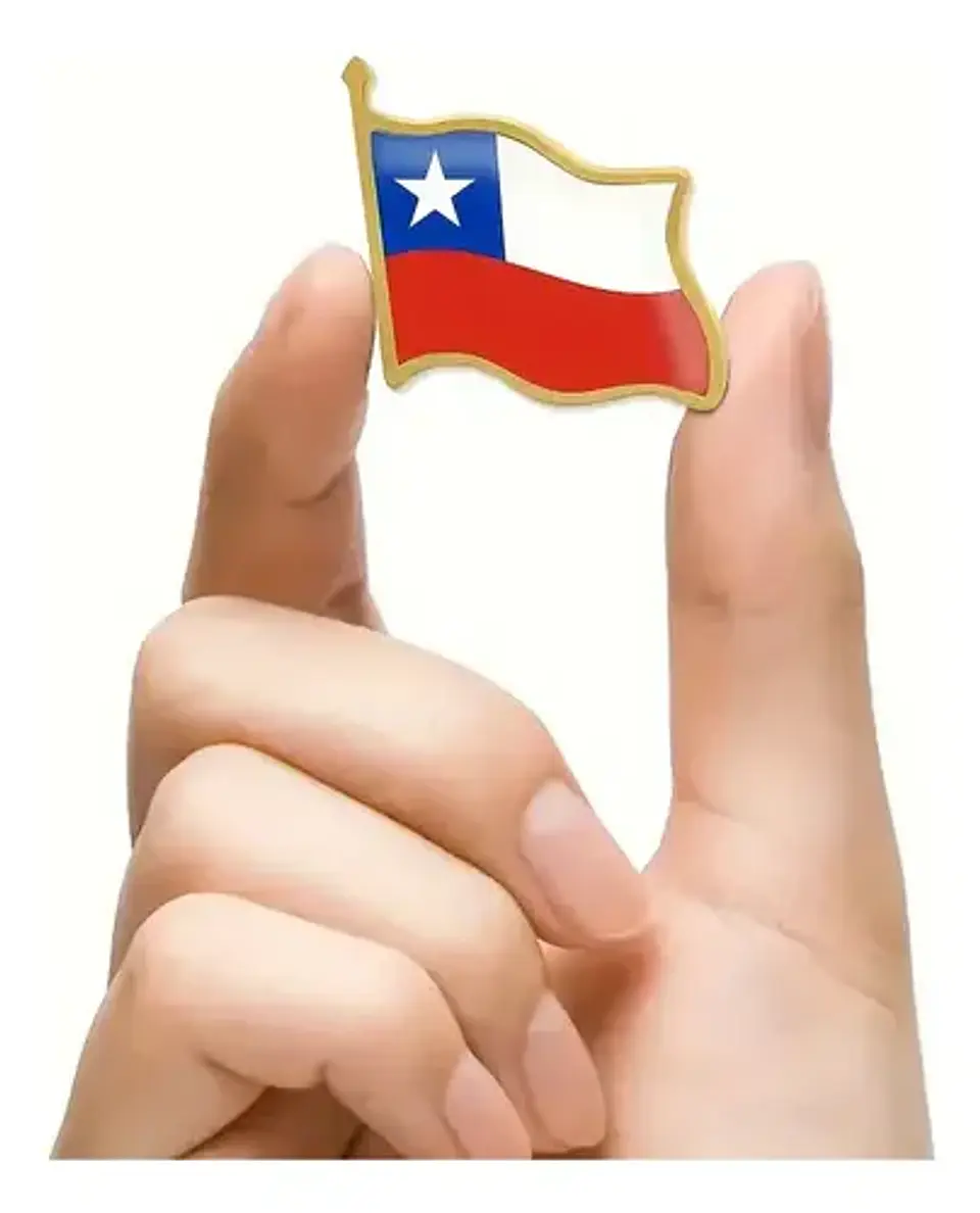 Pins De Chile / Bandera Chilena / Pines Metálicos (broches) 2