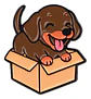 Pins De I Love Perritos / Perros Kawaii / Broches Metalicos - Miniatura 17