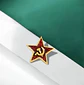 Pins De Retro Urss / Estrella Roja Soviética / (pines) - Miniatura 4