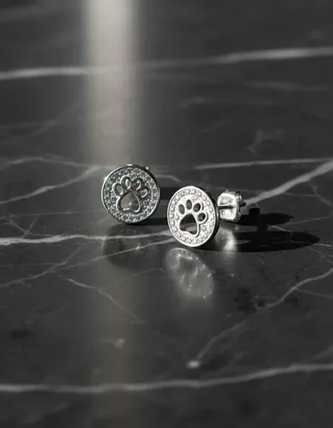 Aros De Plata 925 Diseño Huella De Mascotas