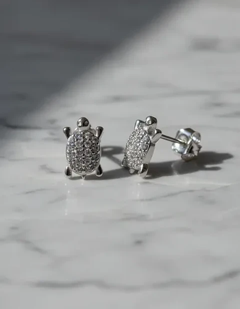 Aros De Plata 925 Diseño Tortuguitas
