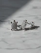 Aros De Plata 925 Diseño Tortuguitas - Miniatura 1