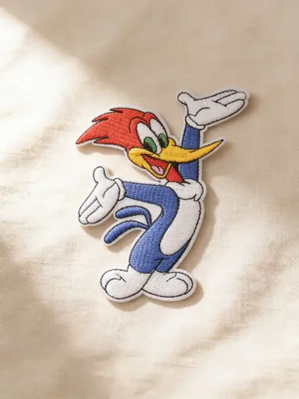 Parches Para Ropa Del Pajaro Loco / Parche Térmico 1