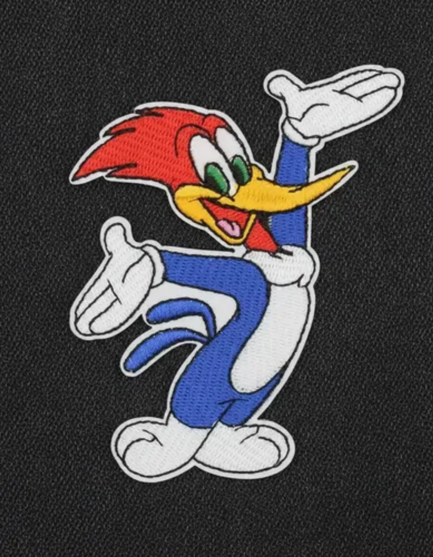 Parches Para Ropa Del Pajaro Loco / Parche Térmico 2