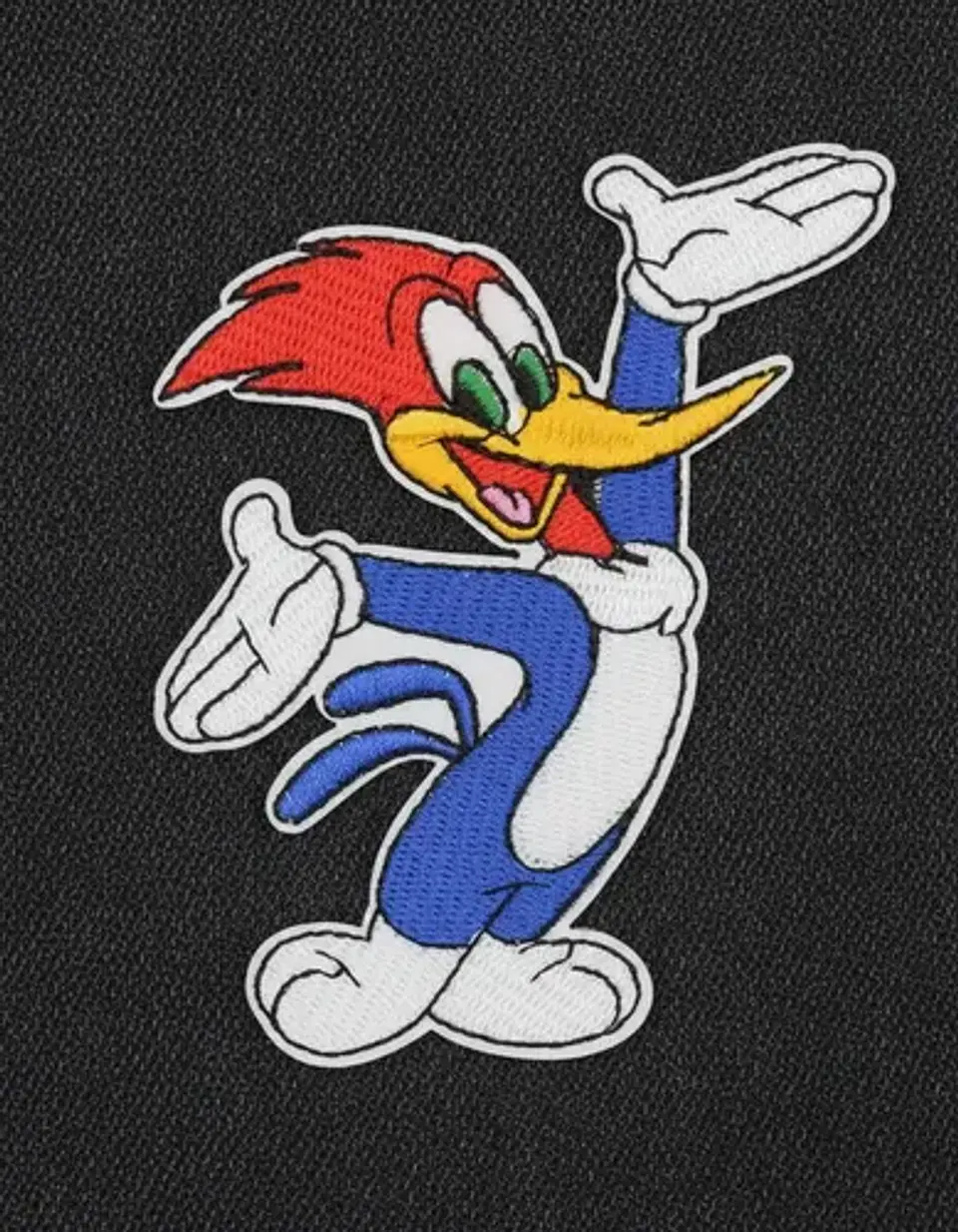 Parches Para Ropa Del Pajaro Loco / Parche Térmico 2