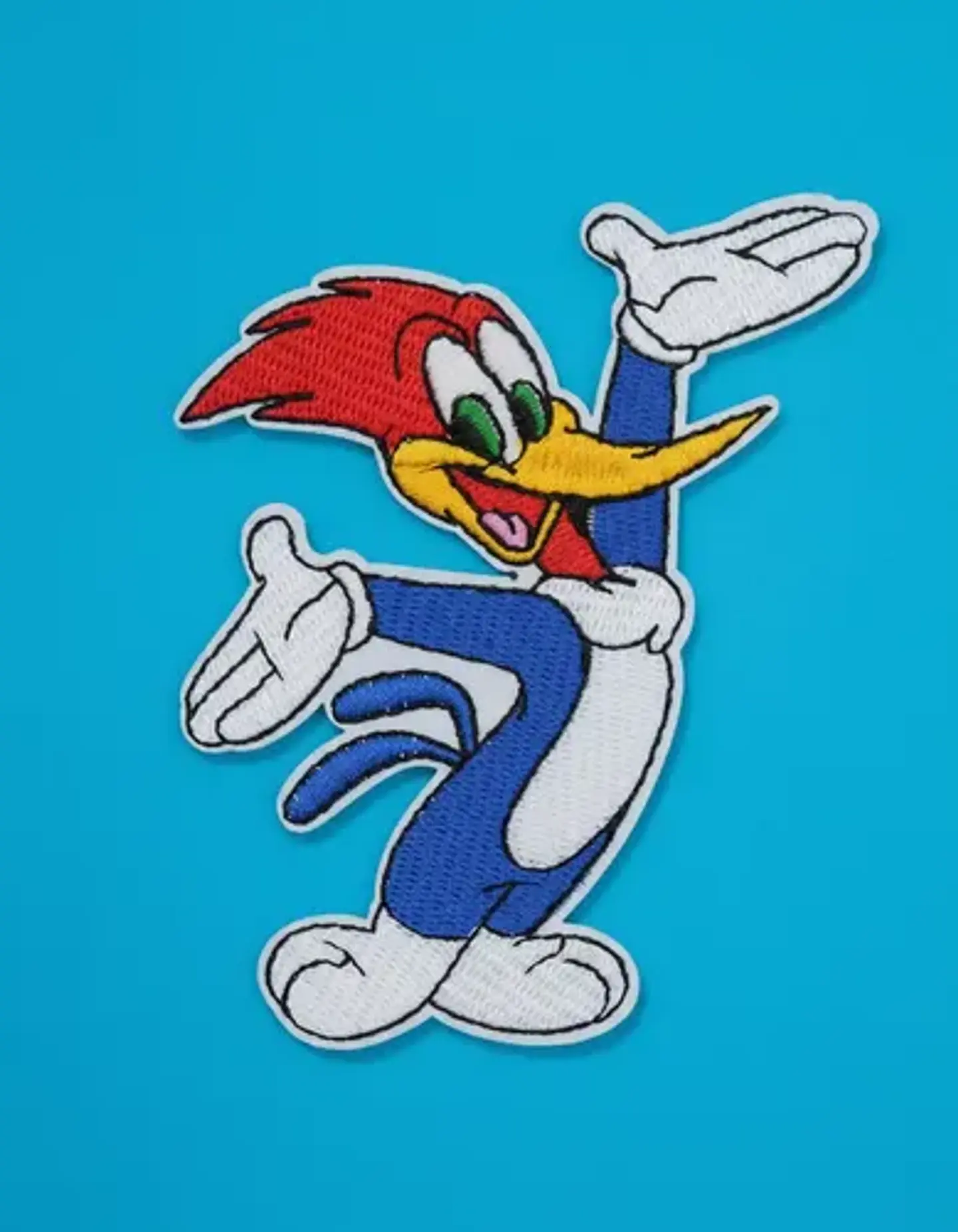 Parches Para Ropa Del Pajaro Loco / Parche Térmico 3