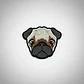 Parches Para Ropa -pug / Termoadhesivo - Miniatura 1