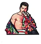 Pins De Freddie Mercury / Queen / Broches Metálicos (pines) - Miniatura 1